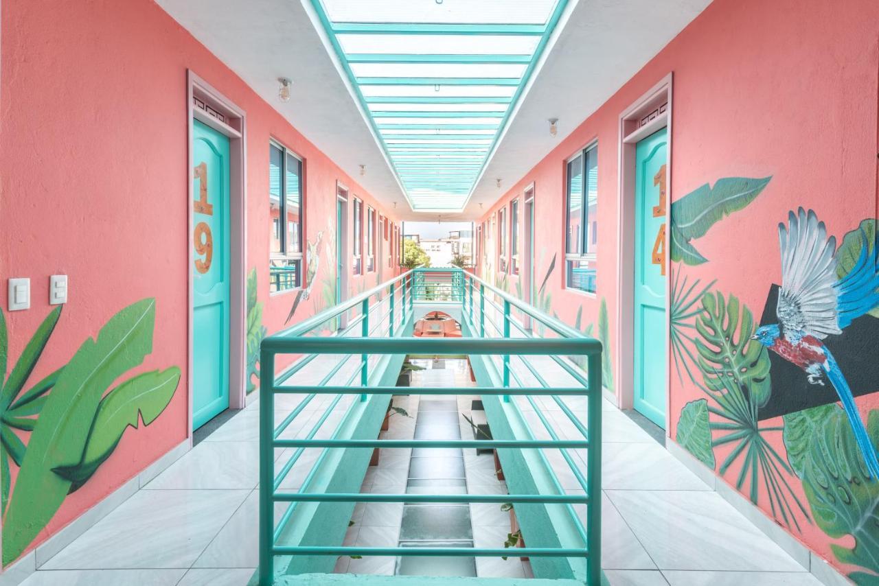 Flamingo Hostel & Coworking Santa Marta  Exterior foto